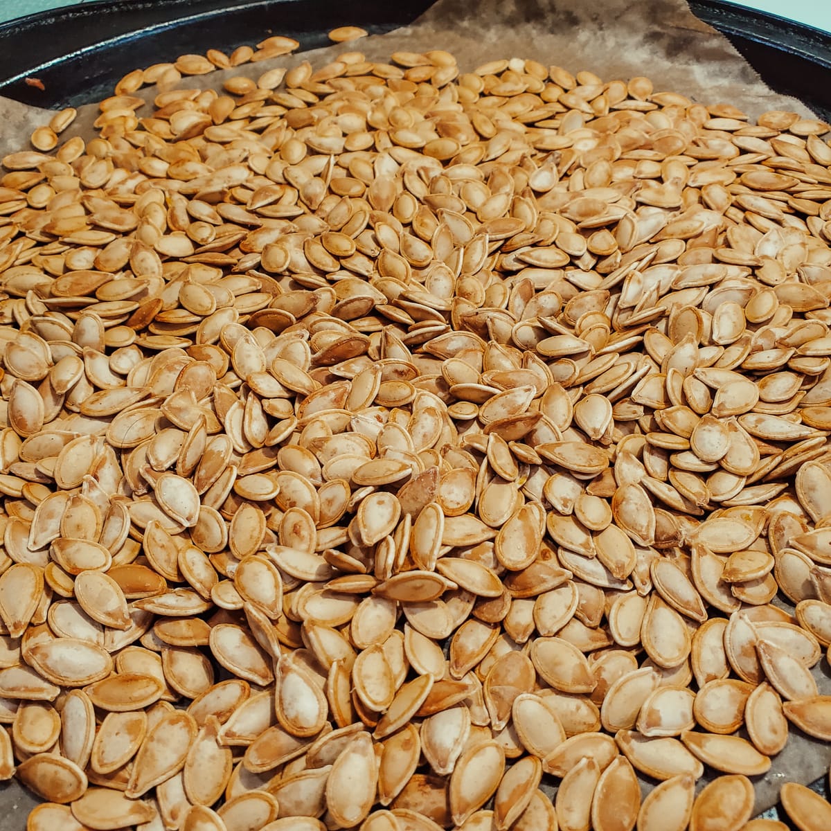 Eating with the Seasons: Fall š Embracing the Harvest