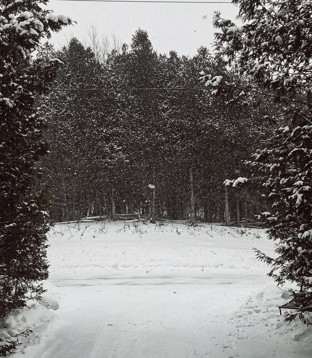 Winter Field Note: Trust Is Part of the Process