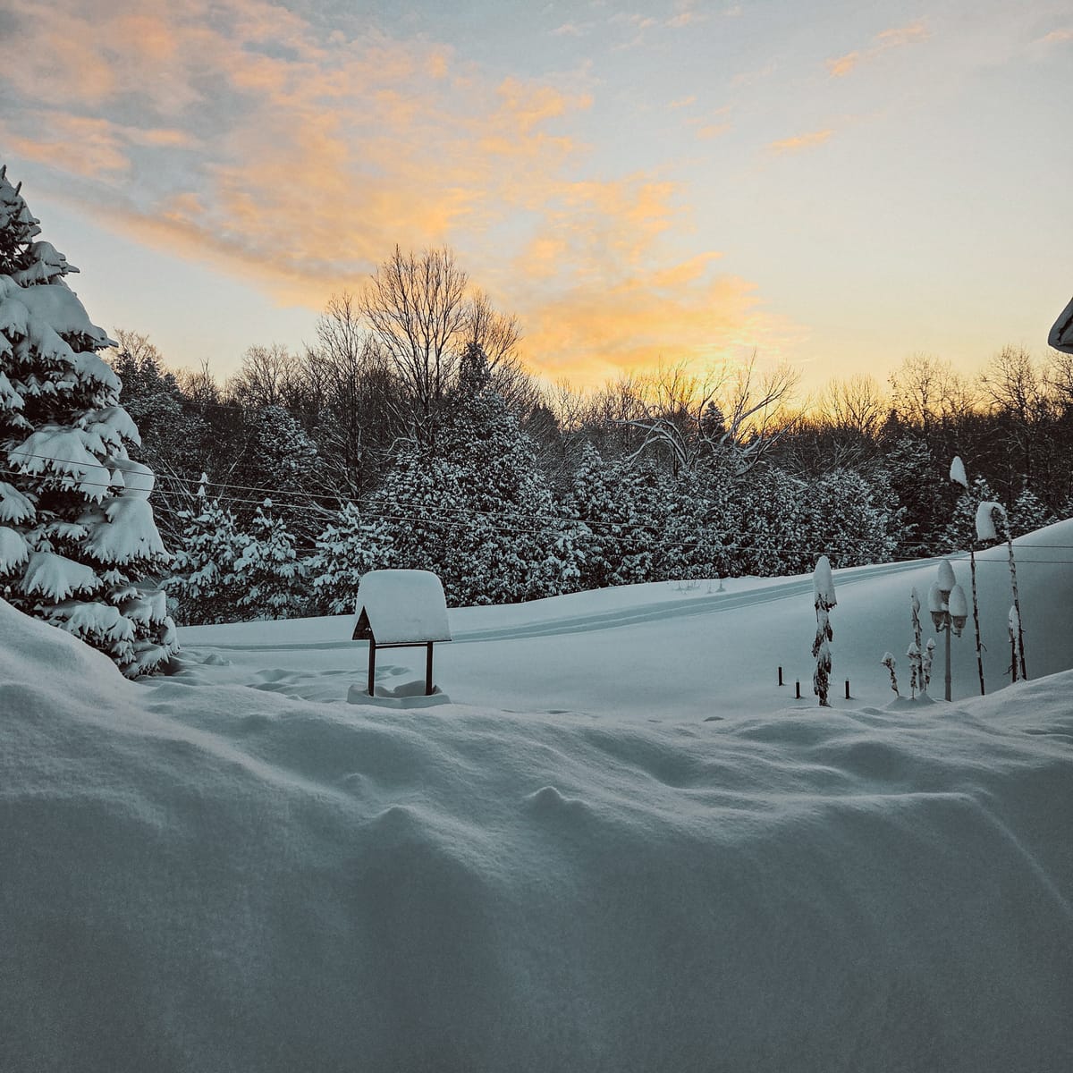 My Winter Window Sit Spot