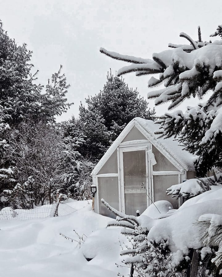 Choosing Slow, Seasonal Living: An Old-School Approach to 2026