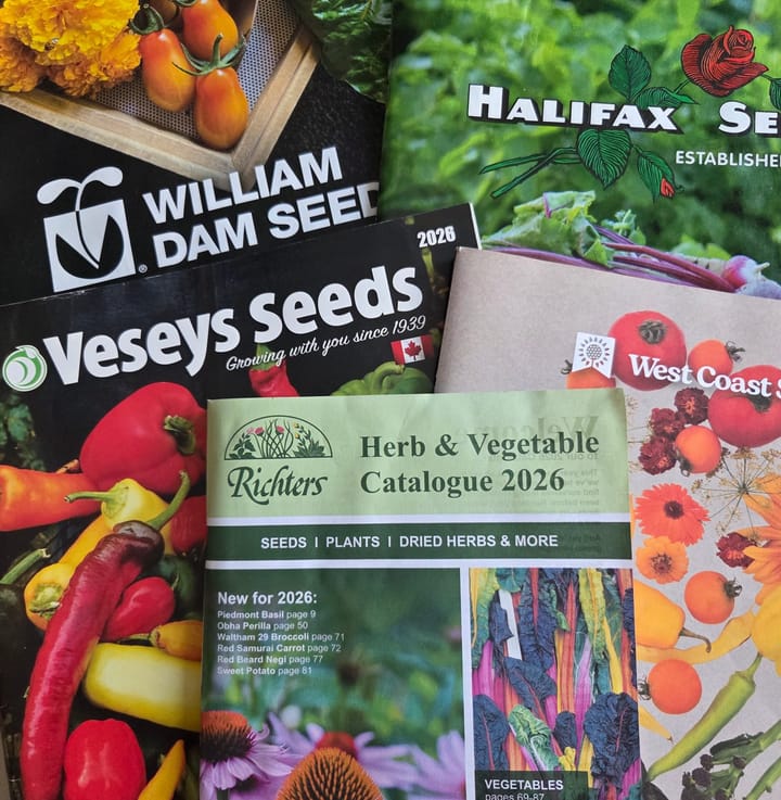 Seed Season Has Arrived: My 2026 Canadian Seed Company Lineup