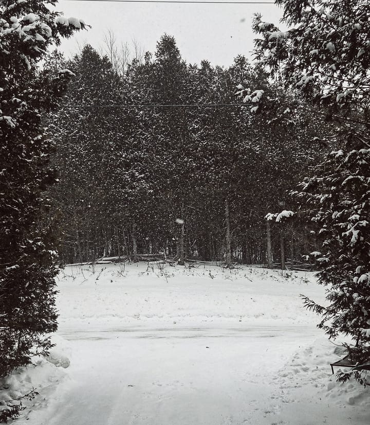 Winter Field Note: Trust Is Part of the Process